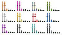 Muc-Off Muc Off Tubeless Valve Kit V2 Universal for MTB & Road, black, 44