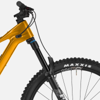 Canyon Spectral:ONfly CF CLLCTV