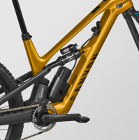 Canyon Spectral:ONfly CF CLLCTV